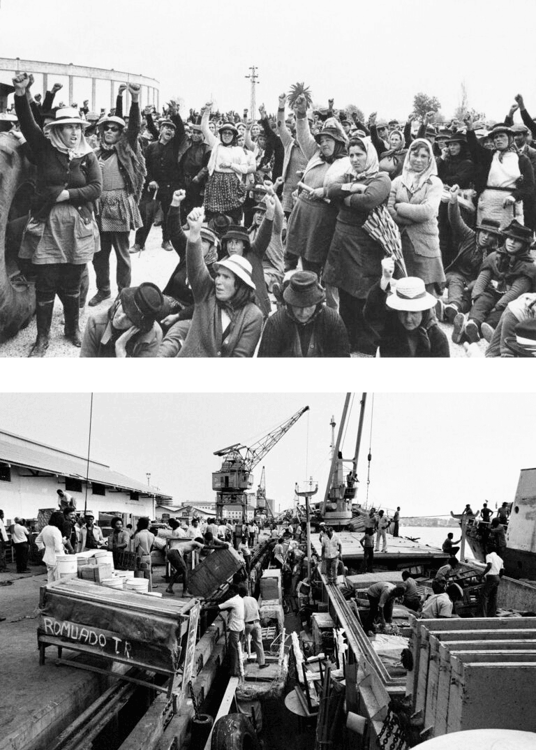 No verão de 1975, quando a maioria dos portugueses em África tenta regressar a Portugal, Rui Nabeiro faz o impensável e ruma a Angola com o propósito de comprar café.